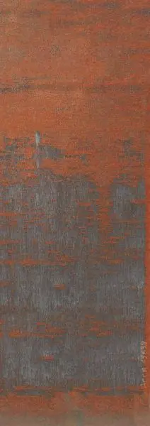 Corrosion Rust DGERO401-300