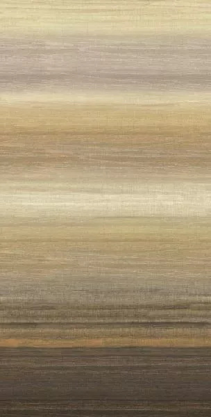 Chanderi Clay DGRIC203 - 260