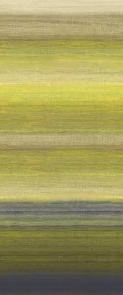 Chanderi Lime DGRIC206 - 260