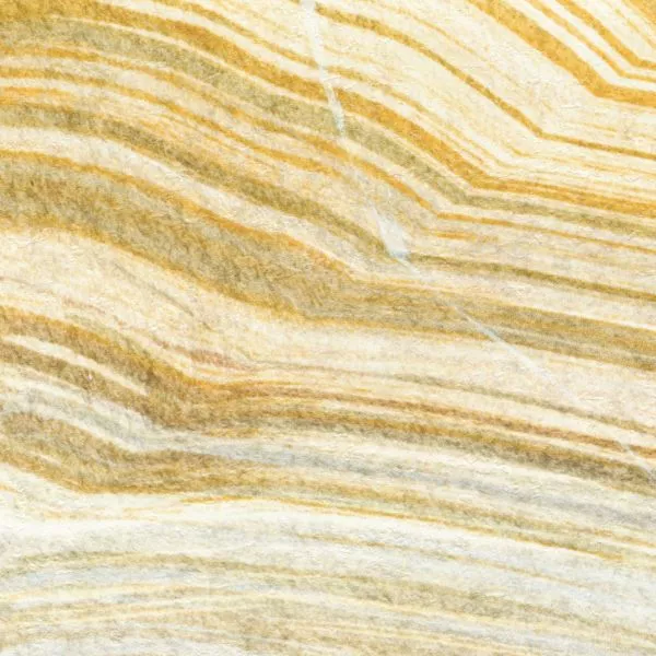 Terres emmêlées VP1033 01