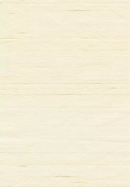 Forever II RM1130 01