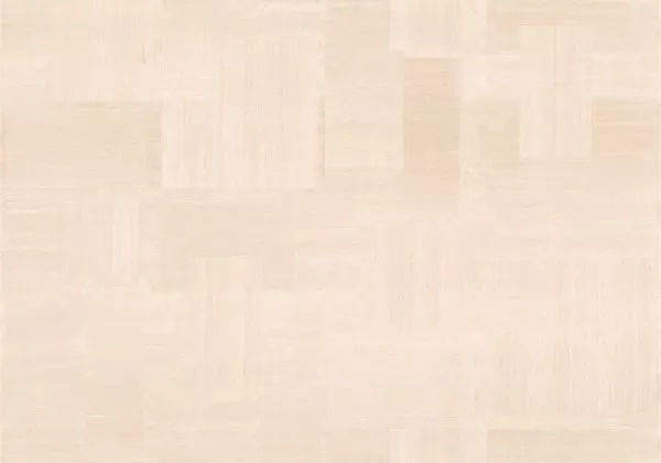 Transgression RM1134 50