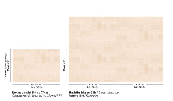 Transgression RM1134 50
