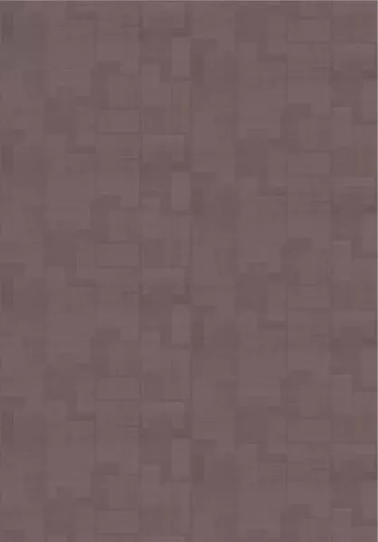 Transgression RM1134 80