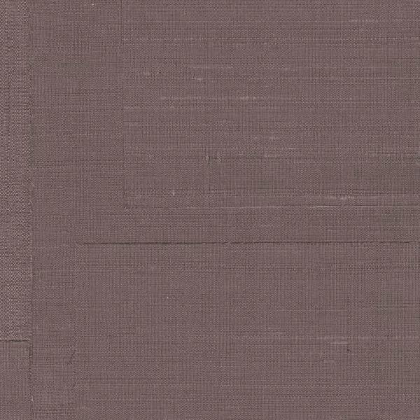 Transgression RM1134 80