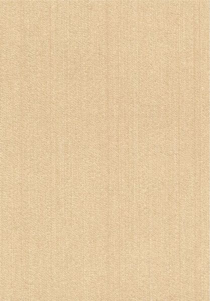 Faisceau RM1146 10