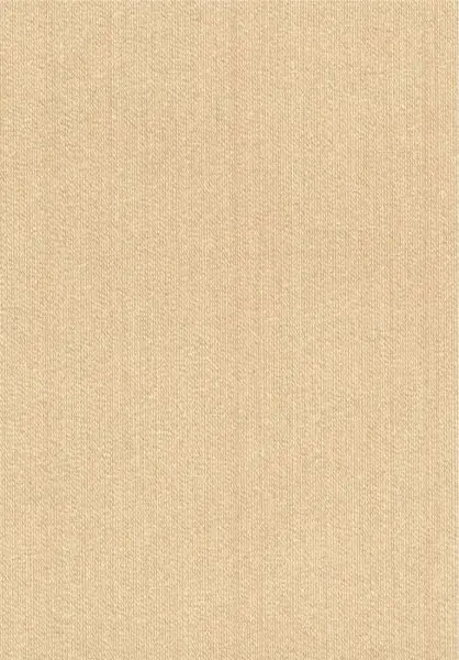 Faisceau RM1146 10