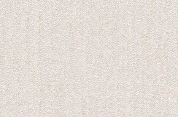 Nuée RM1148 01