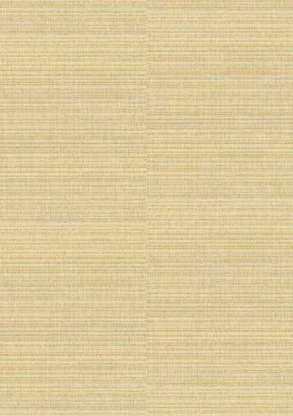 Raffia II VP1048 06