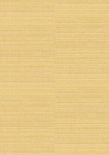 Raffia II VP1048 07