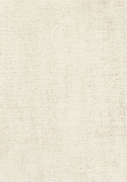 Toile VP1057 04