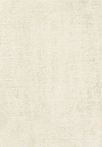 Toile VP1057 04