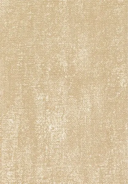 Toile VP1057 11