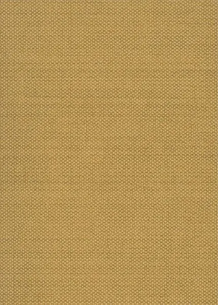 Dixie Pampas GAT604