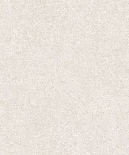 Havana Ramon Oyster HAV1001