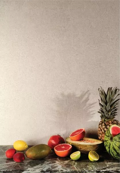 Havana Ramon Oyster HAV1001