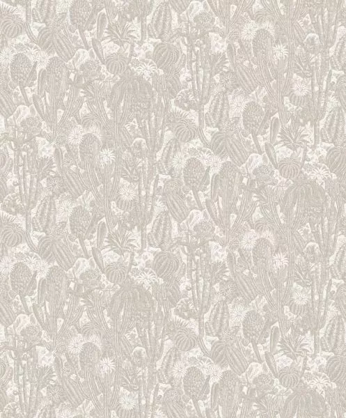 Havana Cactus Oyster HAV202