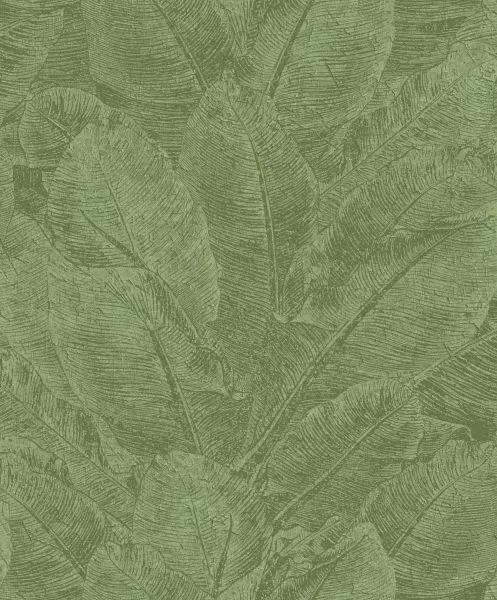 Havana Juan Iguana HAV302