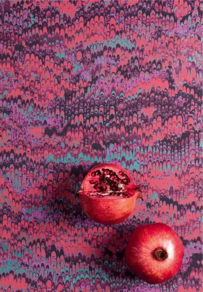 Havana Eduardo Viola HAV802