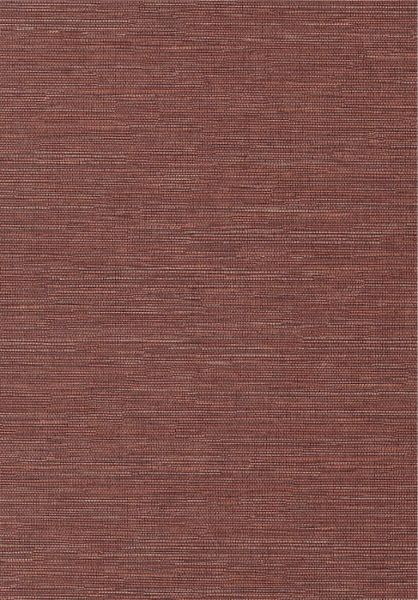 Cadie Spice HPCSIS0007