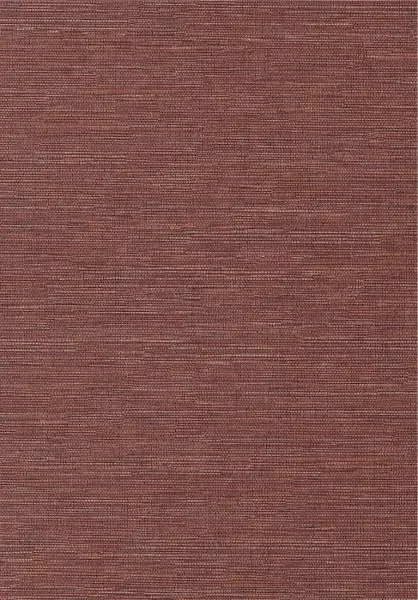 Cadie Spice HPCSIS0007