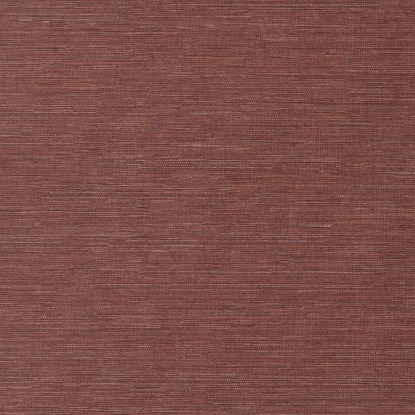 Cadie Spice HPCSIS0007