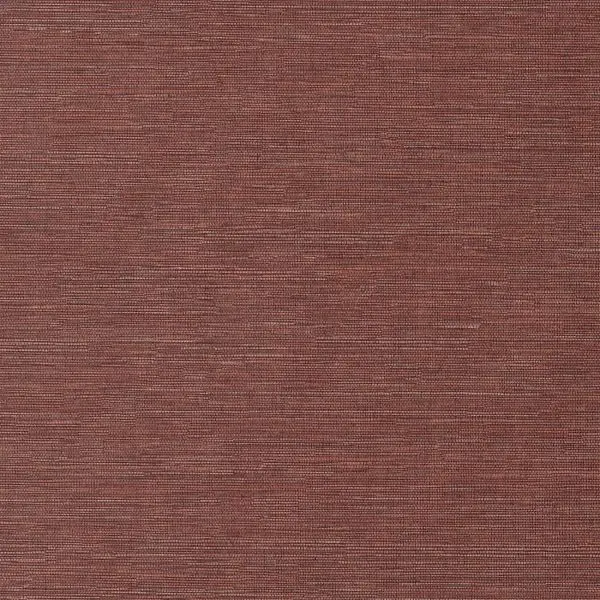 Cadie Spice HPCSIS0007