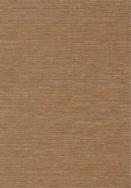 Cadie Amber HPCSIS0008