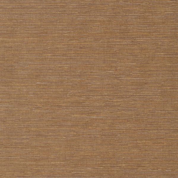 Cadie Amber HPCSIS0008