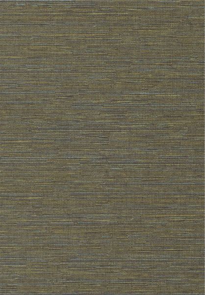 Cadie Lime HPCSIS0009