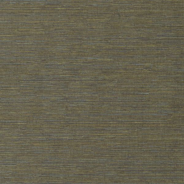 Cadie Lime HPCSIS0009