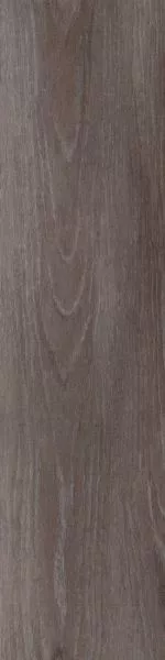 Teppichmodul Cara MO 036