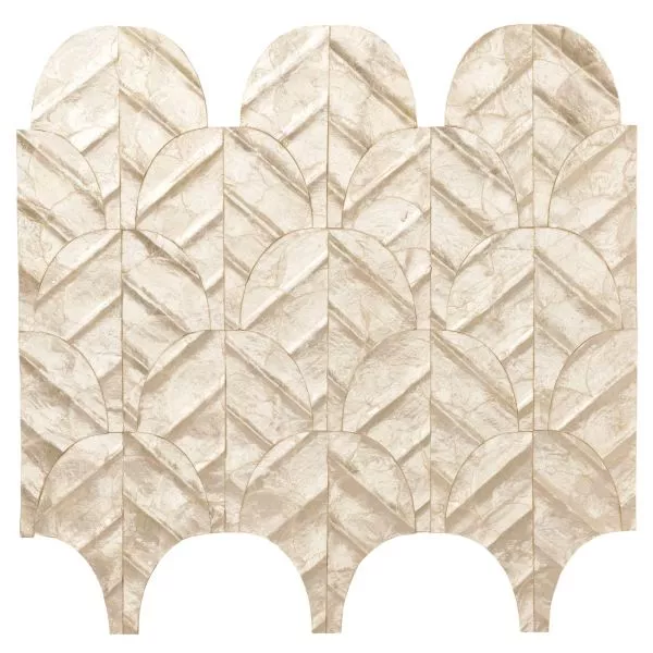 Abalone 70321 Coquille