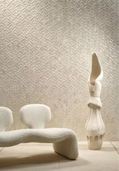 Abalone 70321 Coquille