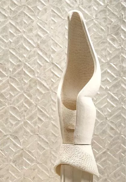 Abalone 70321 Coquille