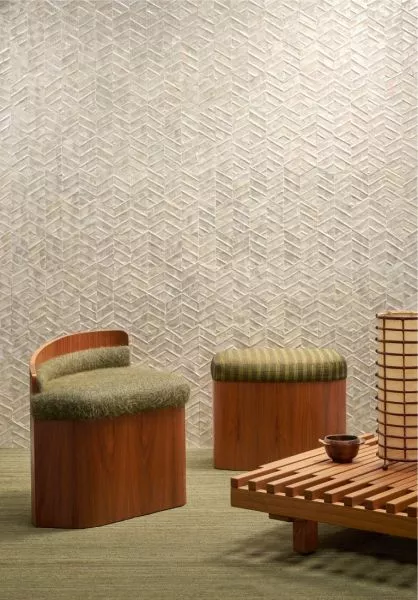 Lucea 70311 Coquille