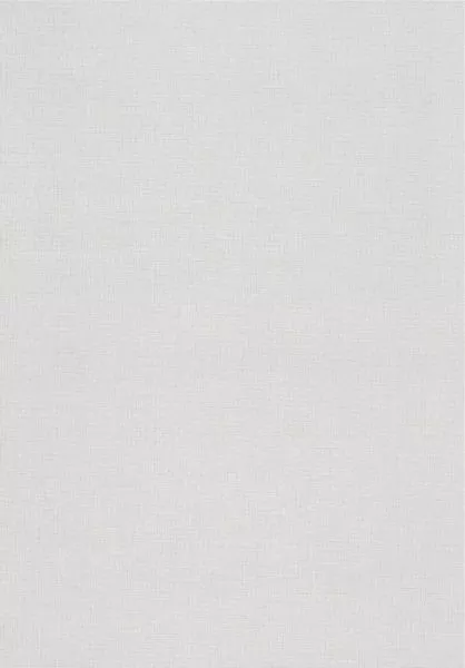 Kao Moonlight MAG101