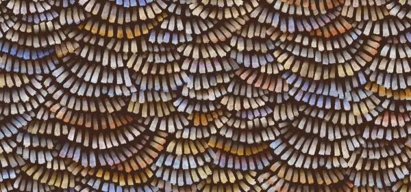 Dandelion Cranes MO4021 Prisma