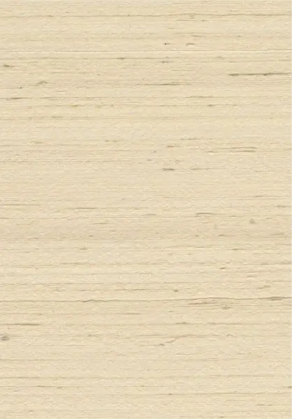 Mandya 35429 Bone
