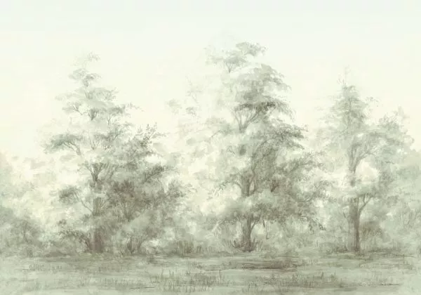 Out of Sight BL4-050