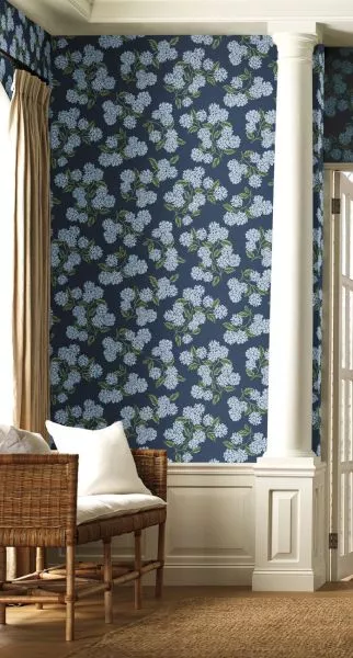 Hydrangea RI5142 Blue