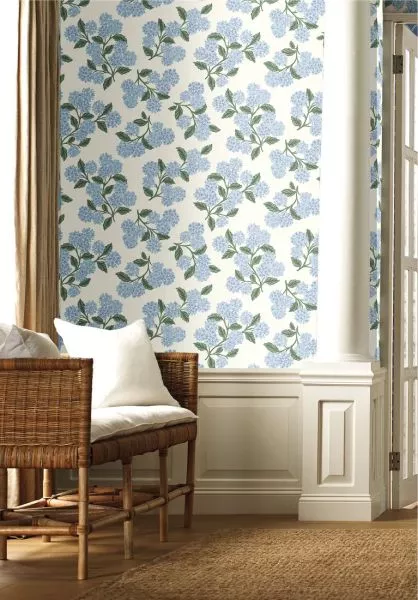 Hydrangea RI5143 White/Blue