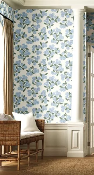 Hydrangea RI5143 White/Blue