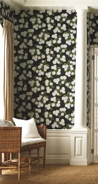 Hydrangea RI5146 Black