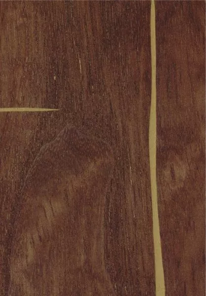 Le roi soleil RM1038 72