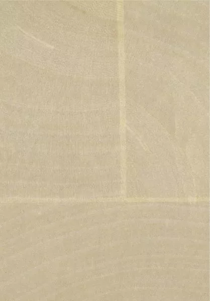 Empreintes RM1040 01