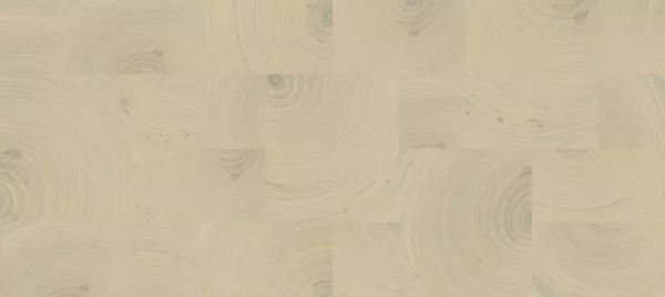 Empreintes RM1040 01