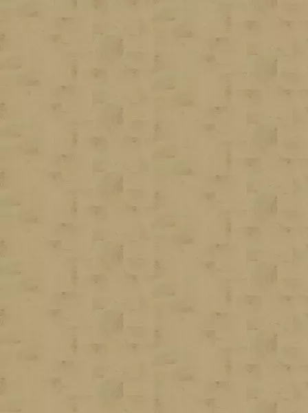 Empreintes RM1040 15