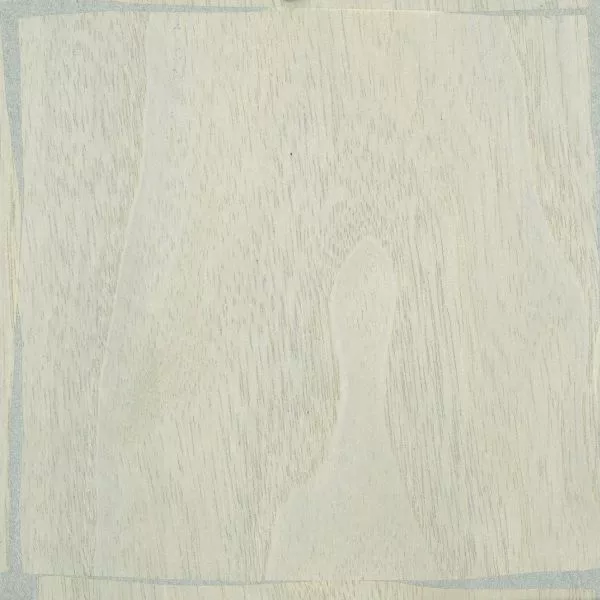 Feuilles d'or RM1041 42