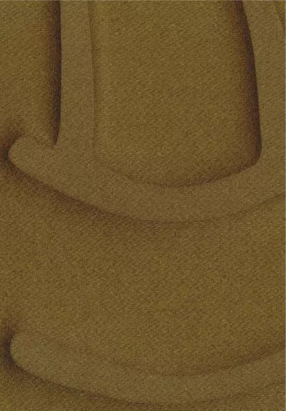 Wave flanelle RM1055 67